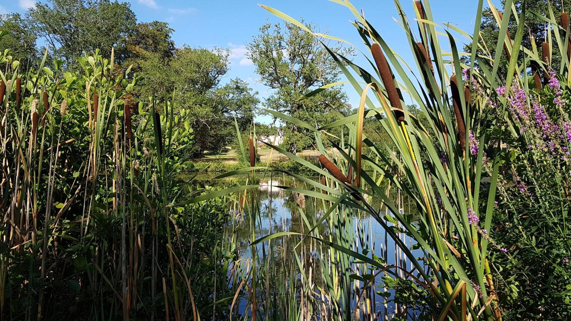 הוילה Le Pin  Domaine Des Roches Blanches מראה חיצוני תמונה
